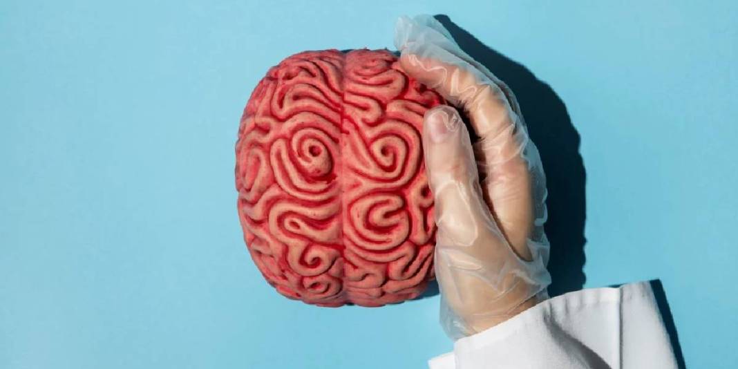 Ne balık ne ceviz! Beyin sağlığı için bilim insanları bunu öneriyor: Bir çay kaşığı bile yemek yeterli 8